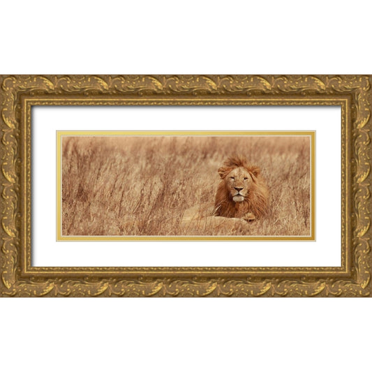 Perspective Image