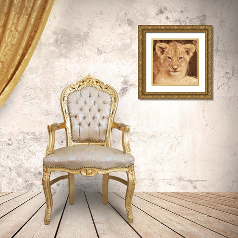 Lion Cub Gold Ornate Wood Framed Art Print with Double Matting by Michal, Susan