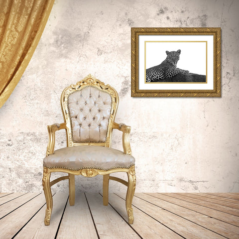 Leopard in Black and White Gold Ornate Wood Framed Art Print with Double Matting by Michal, Susan