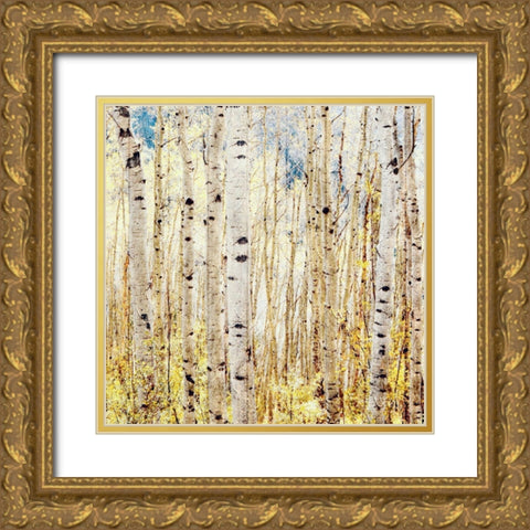 Birch Grove Gold Ornate Wood Framed Art Print with Double Matting by Tyrrell, Lu Anne