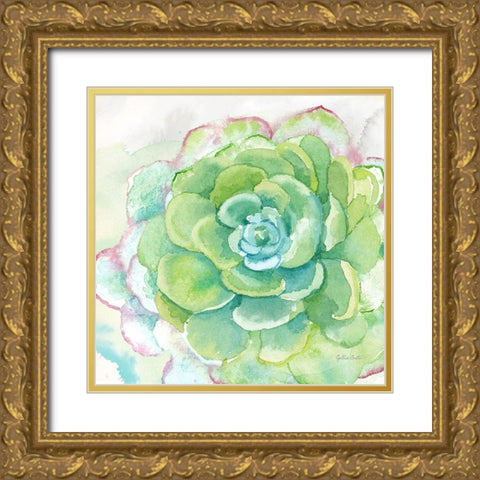 Sweet Succulents IV Gold Ornate Wood Framed Art Print with Double Matting by Coulter, Cynthia