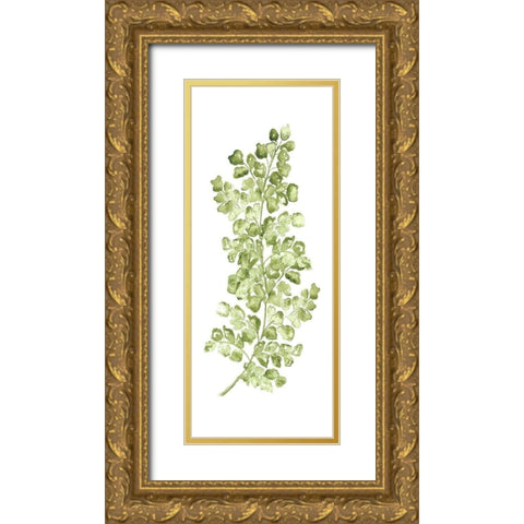 Botanical Fern Single IV Gold Ornate Wood Framed Art Print with Double Matting by Tre Sorelle Studios