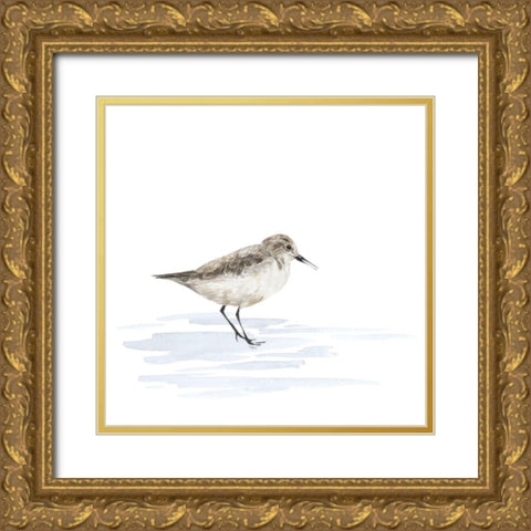 Birds of the Coast on White V Gold Ornate Wood Framed Art Print with Double Matting by Reed, Tara