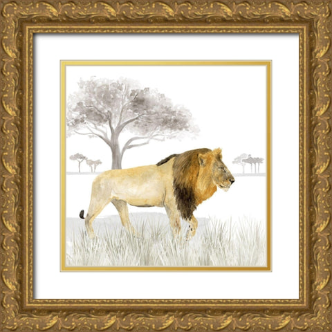 Serengeti Lion Square Gold Ornate Wood Framed Art Print with Double Matting by Reed, Tara