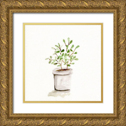 Potted Botanicals I Gold Ornate Wood Framed Art Print with Double Matting by Chapman, Marcy