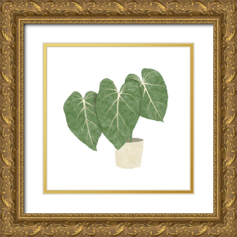 Philodendron Gloriosum IV Gold Ornate Wood Framed Art Print with Double Matting by Bannarot