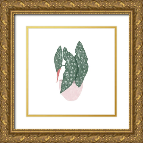 Polka Dot Begonia II Gold Ornate Wood Framed Art Print with Double Matting by Bannarot