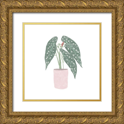 Polka Dot Begonia V Gold Ornate Wood Framed Art Print with Double Matting by Bannarot