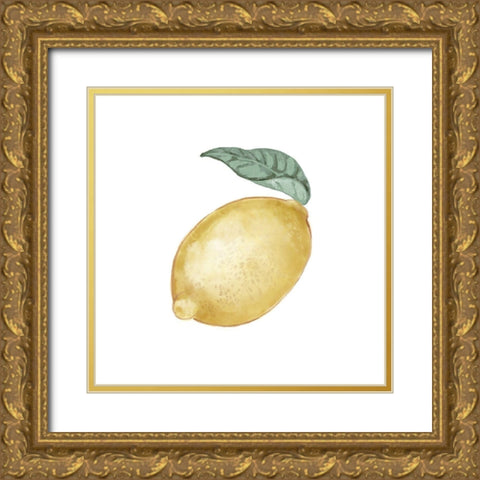Citrus Limon I Gold Ornate Wood Framed Art Print with Double Matting by Bannarot