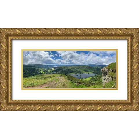 From  the Top Gold Ornate Wood Framed Art Print with Double Matting by Bay, Noah