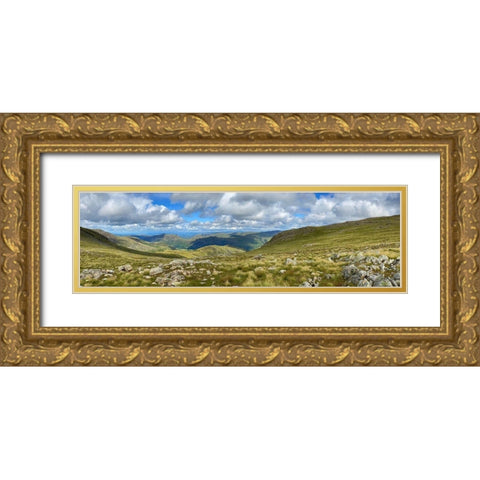 Greenscape Gold Ornate Wood Framed Art Print with Double Matting by Bay, Noah