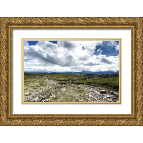 Looking  Out Gold Ornate Wood Framed Art Print with Double Matting by Bay, Noah