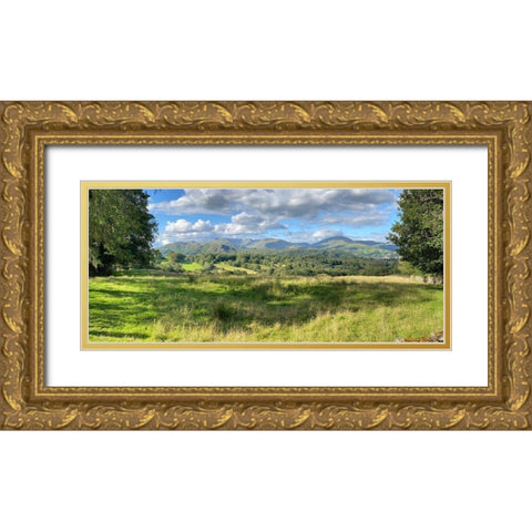 Fresh  Perspective Gold Ornate Wood Framed Art Print with Double Matting by Bay, Noah