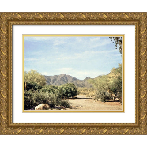 Desert Path Gold Ornate Wood Framed Art Print with Double Matting by Grafitee Studios