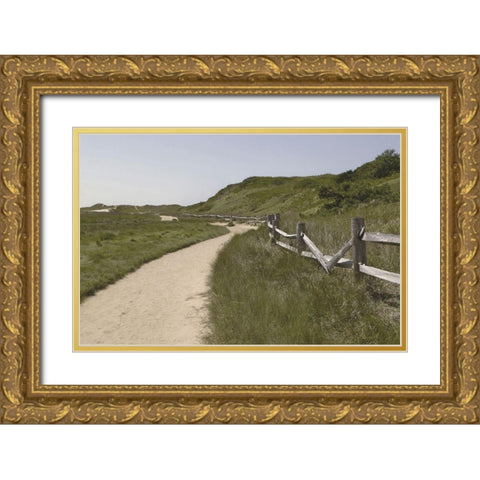 High  Road I Gold Ornate Wood Framed Art Print with Double Matting by Grafitee Studios