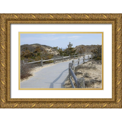High  Road III Gold Ornate Wood Framed Art Print with Double Matting by Grafitee Studios