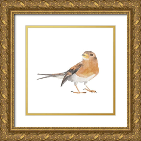 Songbird  V Gold Ornate Wood Framed Art Print with Double Matting by Bannarot