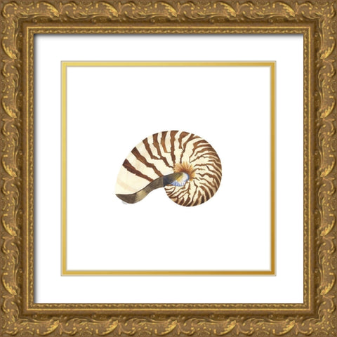 Oceanum Shells white III-Nautilus Gold Ornate Wood Framed Art Print with Double Matting by Reed, Tara