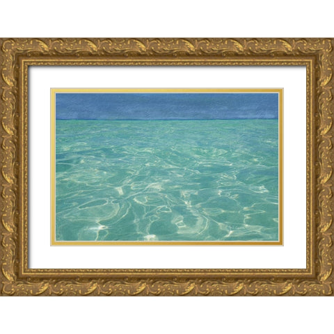 Beach  Shore XIII Gold Ornate Wood Framed Art Print with Double Matting by Cusson, Marie Elaine