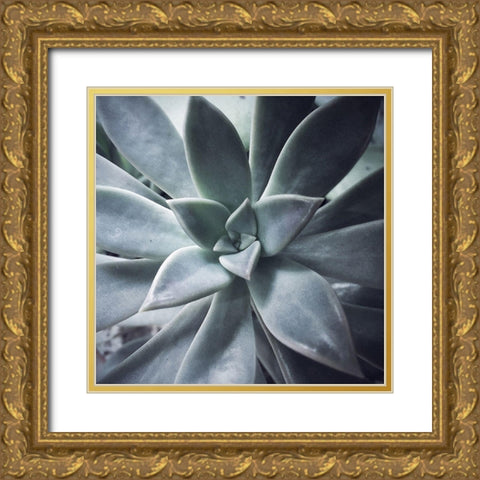 A Succulent  Life Gold Ornate Wood Framed Art Print with Double Matting by Manelis, Jessica