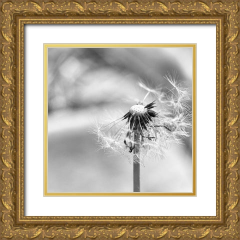 Blown  Away Gold Ornate Wood Framed Art Print with Double Matting by Manelis, Jessica