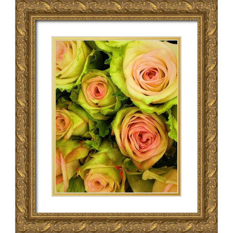 Green  And Pink Rose Bouquet Gold Ornate Wood Framed Art Print with Double Matting by Manelis, Jessica