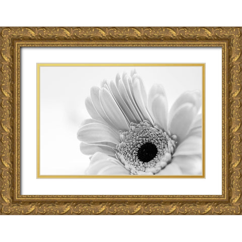 Ingenious  Nonsense Gold Ornate Wood Framed Art Print with Double Matting by Manelis, Jessica
