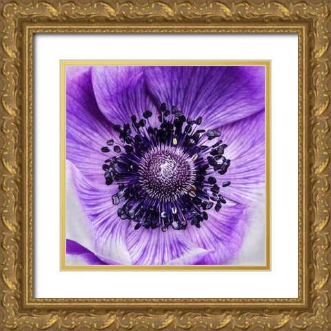 Not  Like the Rest Gold Ornate Wood Framed Art Print with Double Matting by Manelis, Jessica