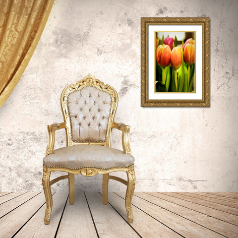 Radiant Gold Ornate Wood Framed Art Print with Double Matting by Manelis, Jessica