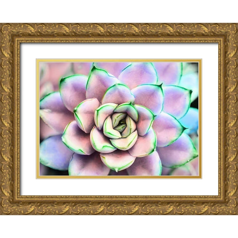 Succ  You Gold Ornate Wood Framed Art Print with Double Matting by Manelis, Jessica