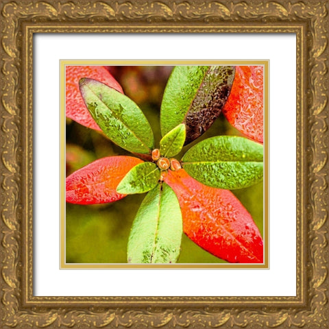 Tis  the Season Gold Ornate Wood Framed Art Print with Double Matting by Manelis, Jessica