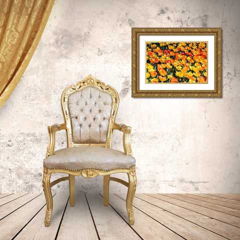 Tulip  Wave Gold Ornate Wood Framed Art Print with Double Matting by Manelis, Jessica