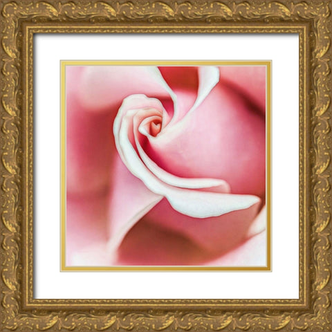 Wholly  Joyous Gold Ornate Wood Framed Art Print with Double Matting by Manelis, Jessica