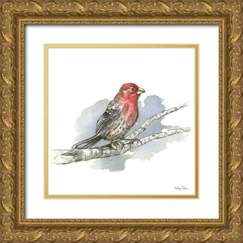 Birds And Branches IV-House Finch Gold Ornate Wood Framed Art Print with Double Matting by Wilson, Kelsey