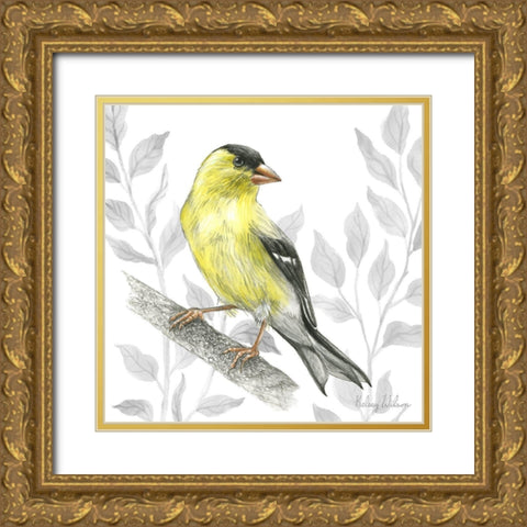 Backyard Birds III-Goldfinch I Gold Ornate Wood Framed Art Print with Double Matting by Wilson, Kelsey