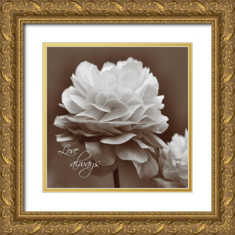 Sepia Blossoms II  Gold Ornate Wood Framed Art Print with Double Matting by Romita, Denise