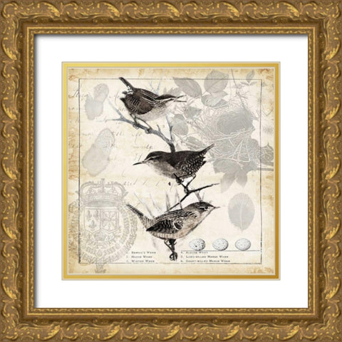 Botanical Birds Black Cream I Gold Ornate Wood Framed Art Print with Double Matting by Tre Sorelle Studios