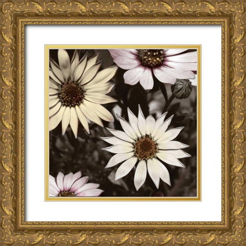 Hint of Spring I Gold Ornate Wood Framed Art Print with Double Matting by Romita, Denise