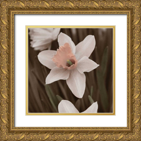 Hint of Spring II Gold Ornate Wood Framed Art Print with Double Matting by Romita, Denise