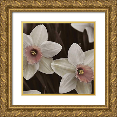 Hint of Spring III Gold Ornate Wood Framed Art Print with Double Matting by Romita, Denise