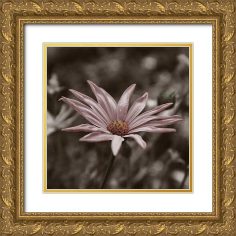 Hint of Spring IV Gold Ornate Wood Framed Art Print with Double Matting by Romita, Denise