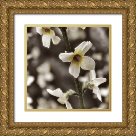 Hint of Spring VI Gold Ornate Wood Framed Art Print with Double Matting by Romita, Denise