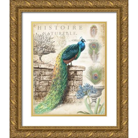 Vintage Peacocks I Gold Ornate Wood Framed Art Print with Double Matting by Tre Sorelle Studios
