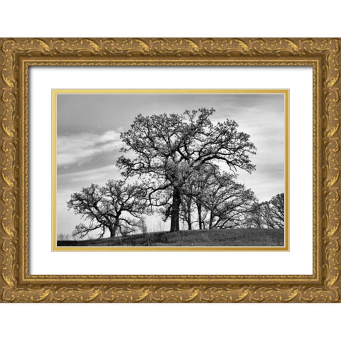 Parkside Gold Ornate Wood Framed Art Print with Double Matting by Romita, Denise