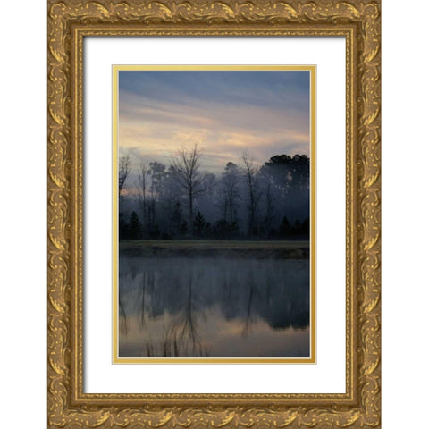 Misty Morning Gold Ornate Wood Framed Art Print with Double Matting by Romita, Denise