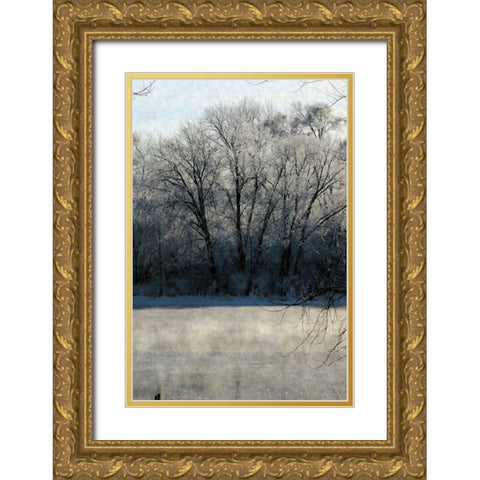 Ice Mist Gold Ornate Wood Framed Art Print with Double Matting by Romita, Denise