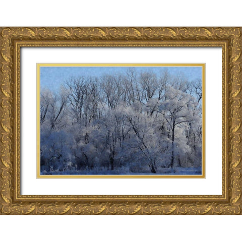 Ice Land Gold Ornate Wood Framed Art Print with Double Matting by Romita, Denise