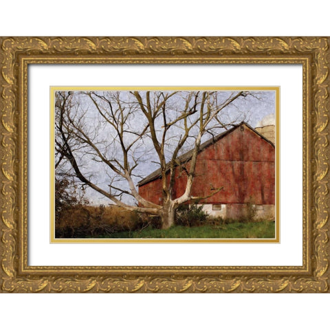 The Old Barn Gold Ornate Wood Framed Art Print with Double Matting by Romita, Denise