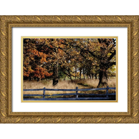 Fenced In Gold Ornate Wood Framed Art Print with Double Matting by Romita, Denise