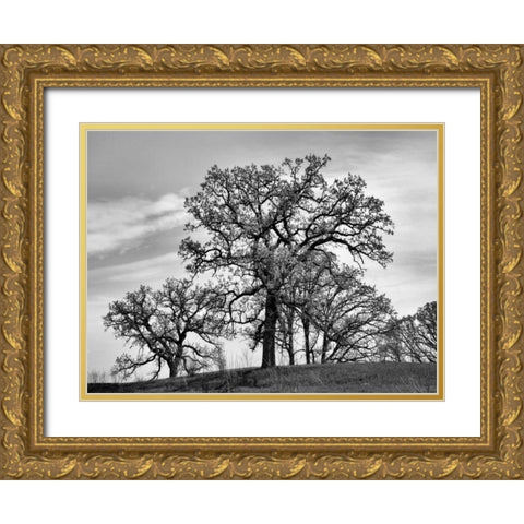 Parkside Gold Ornate Wood Framed Art Print with Double Matting by Romita, Denise